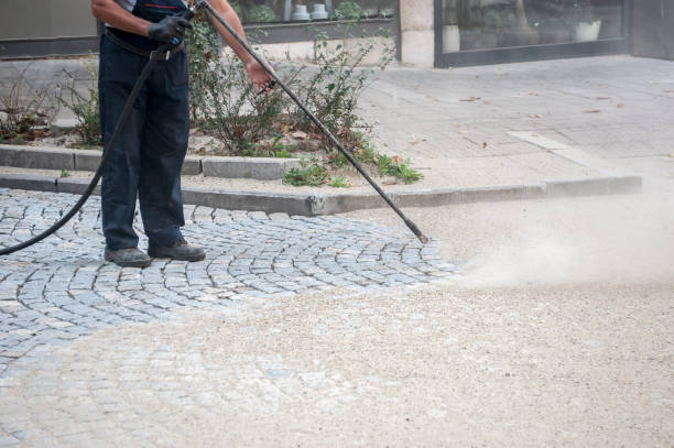 Best Sidewalk and Walkway Cleaning  in Locust Grove, OK